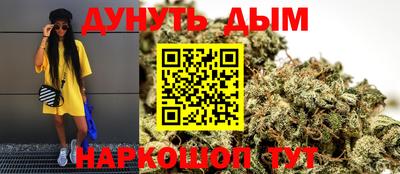 дмт Будённовск
