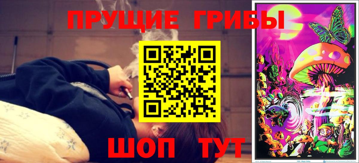 купить   Псилоцибиновые грибы мицелий  Галлюциногенные грибы Psilocybine cubensis  Вход с VPN  Петрозаводск 