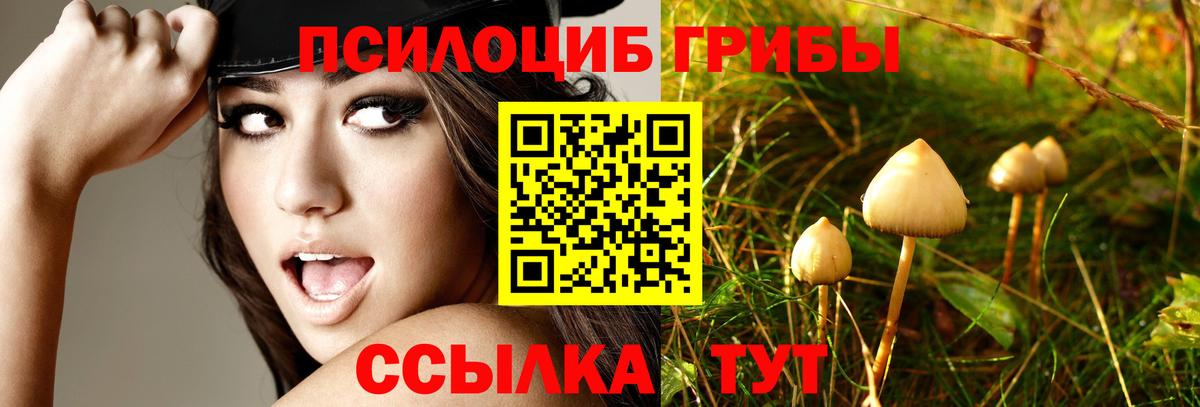 Галлюциногенные грибы MAGIC MUSHROOMS Петрозаводск